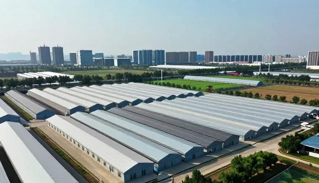 地区商业运营中性能优化的常见问题与应对策略
